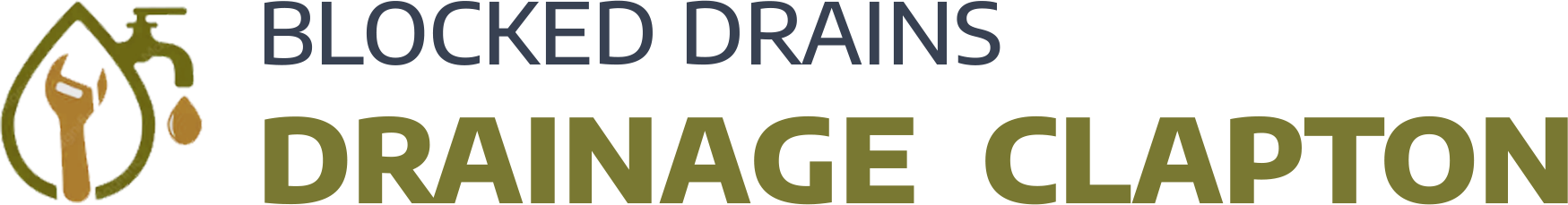 website logo